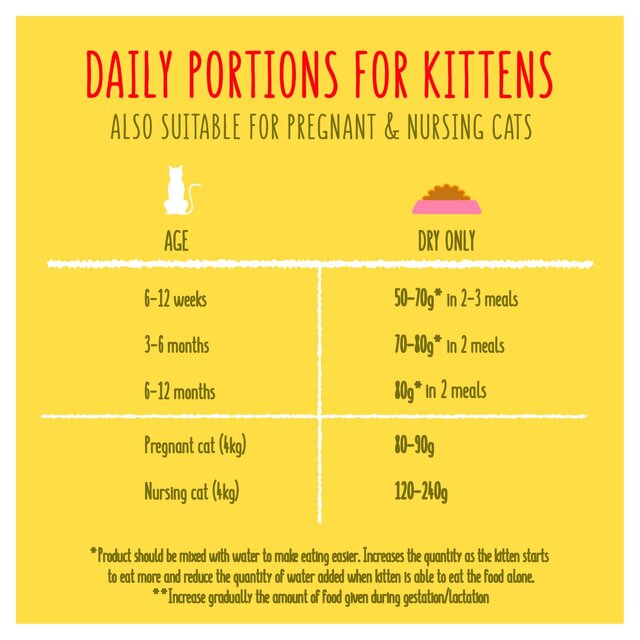 Go-Cat Kitten Chicken Turkey and Milk Dry Cat Food thumbnail 5