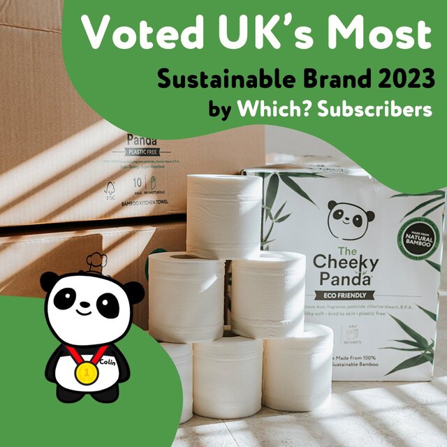 The Cheeky Panda 100% Bamboo Antibacterial Multi Surface Wipes thumbnail 6