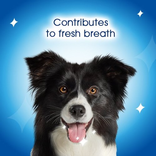 Dentalife Medium Dental Chicken Dog Chews thumbnail 5
