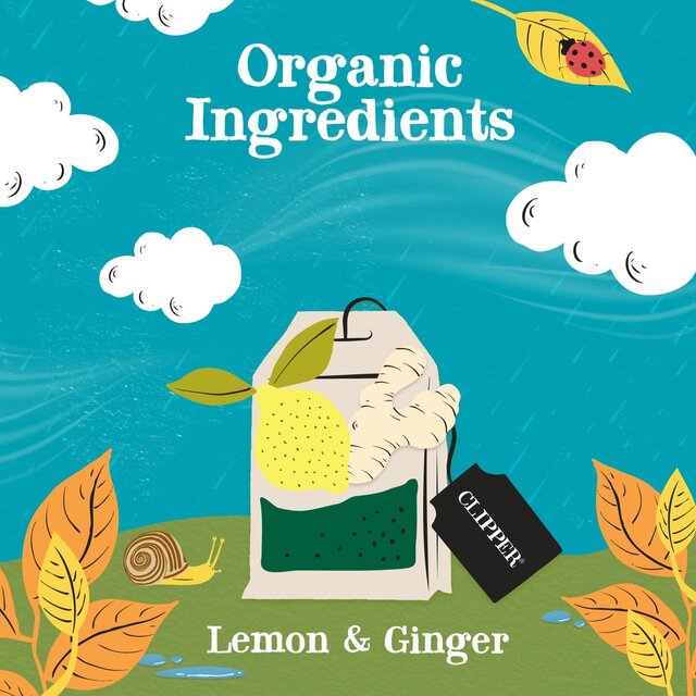 Clipper Organic Lemon & Ginger Infusion thumbnail 7