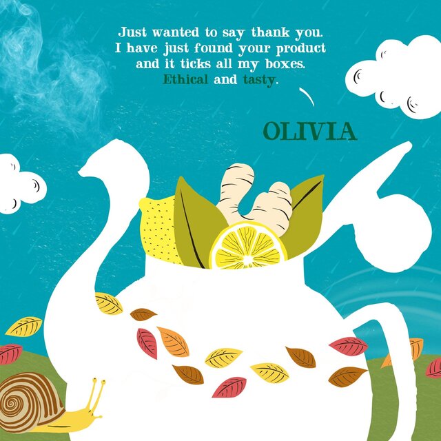 Clipper Organic Lemon & Ginger Infusion thumbnail 9