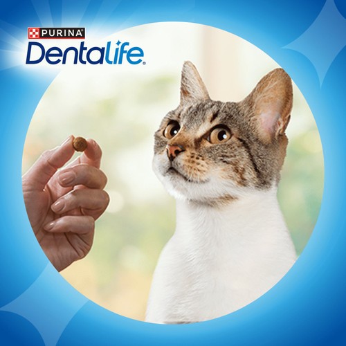 Dentalife Dental Chicken Cat Treats thumbnail 6