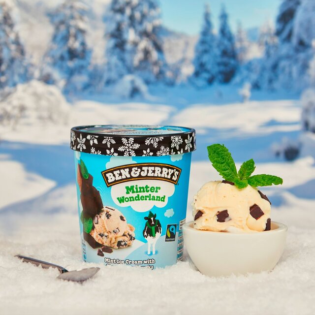 Ben & Jerry's Minter Wonderland Mint Ice Cream Tub thumbnail 5
