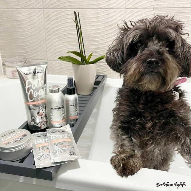 Sniffe & Likkit Give A Dog Cologne Fragrant Fur Coat Conditioning Mist thumbnail 5