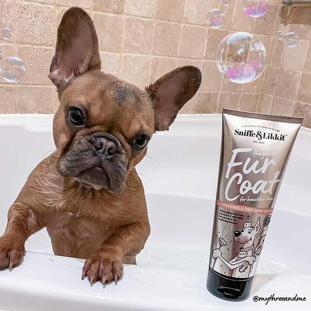 Sniffe & Likkit Fur Coat 3-in-1 Brightening & Conditioning Dog Shampoo thumbnail 8