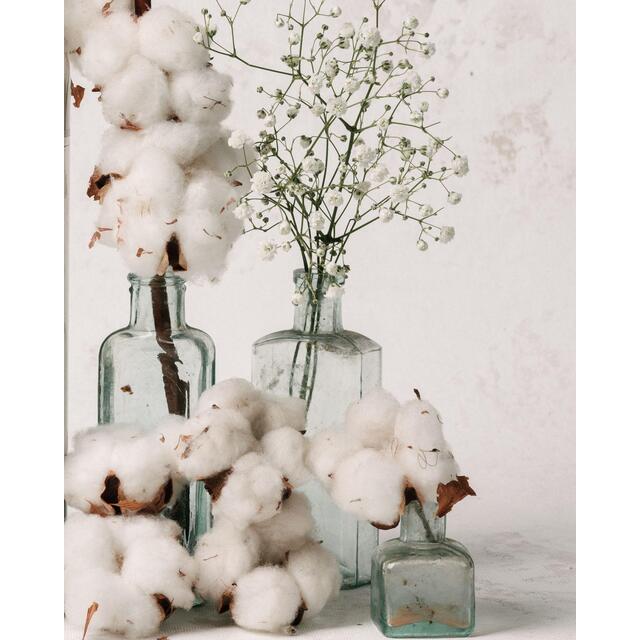 Clothes Doctor Eco Liquid Baby Detergent thumbnail 5