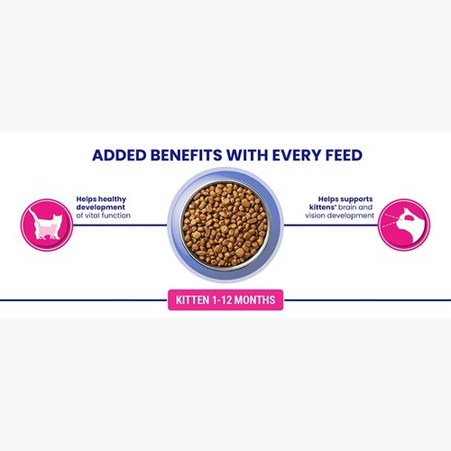 Purina One Kitten Chicken Dry Cat Food thumbnail 7