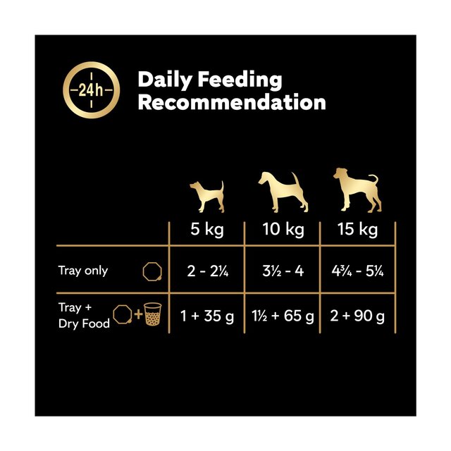 Cesar Senior Wet Dog Food Trays Meat in Delicate Jelly thumbnail 3