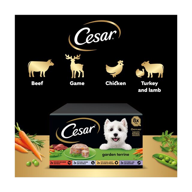 Cesar Garden Terrine Dog Food Tray Mixed in Loaf thumbnail 4