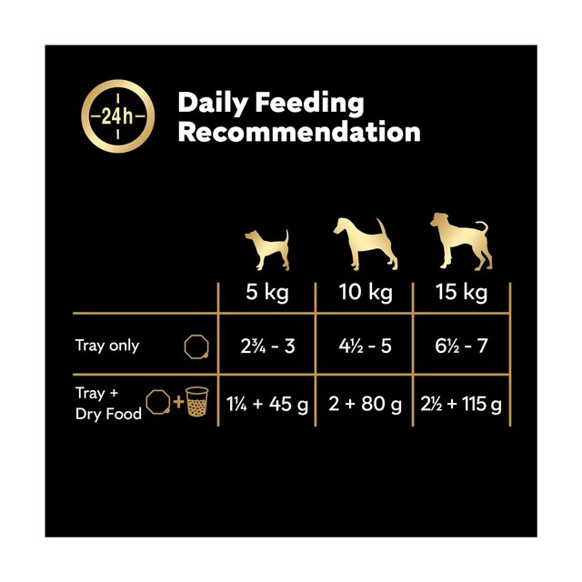 Cesar Juicy Hotpot Adult Wet Dog Food Trays Mixed in Gravy thumbnail 3