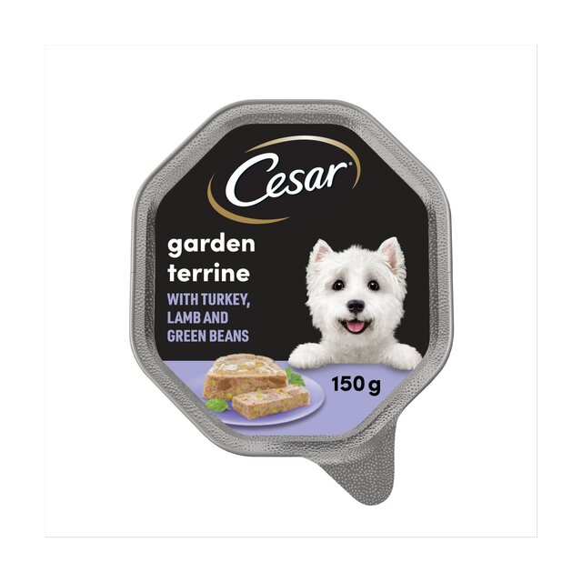 Cesar Garden Terrine Dog Food Tray Lamb, Turkey & Green Beans in Loaf thumbnail 2