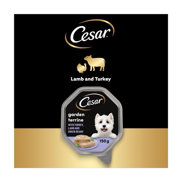 Cesar Garden Terrine Dog Food Tray Lamb, Turkey & Green Beans in Loaf thumbnail 6