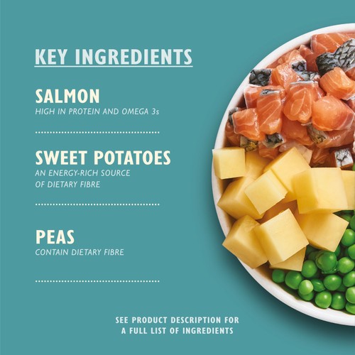 Lily's Kitchen Salmon Supper Grain Free Complete Adult Dry Dog Food thumbnail 2
