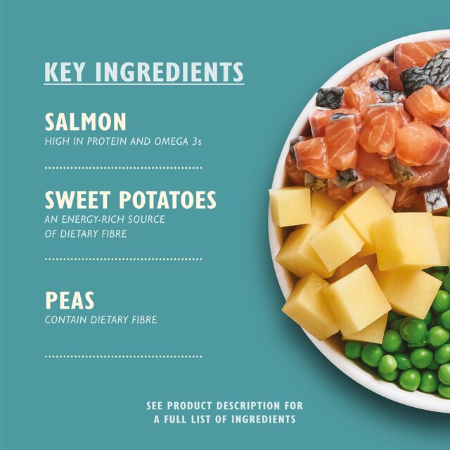 Lily's Kitchen Salmon Supper Grain Free Complete Adult Dry Dog Food thumbnail 2