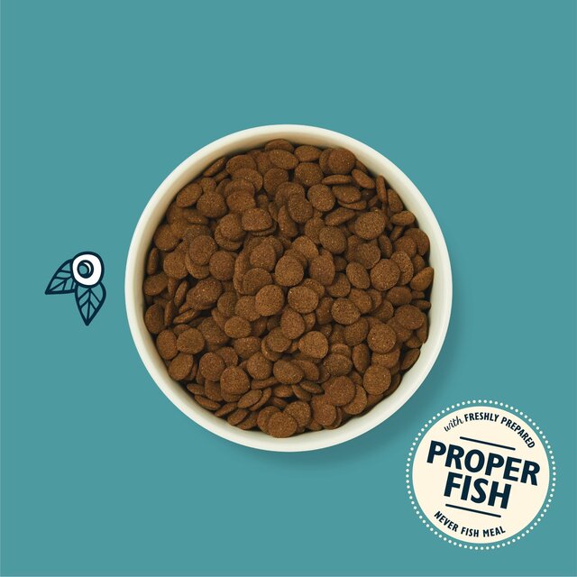 Lily's Kitchen Salmon Supper Grain Free Complete Adult Dry Dog Food thumbnail 5