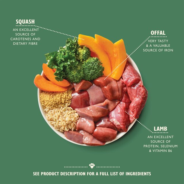 Lily's Kitchen Dog Lamb Tagine thumbnail 2