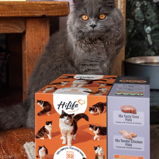 HiLife It's only Natural The Big Kitten One in Jelly Wet Cat Food thumbnail 4