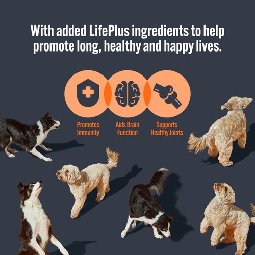 HiLife It's Only Natural Complete Wet Dog Food - The Marketplace One thumbnail 9