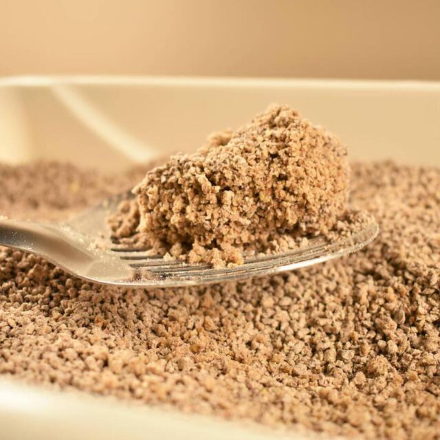 World's Best Multiple Cat Unscented Clumping Cat Litter thumbnail 4