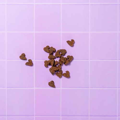 Pooch & Mutt Duck and Rosemary Dental Meaty Dog Treats thumbnail 3