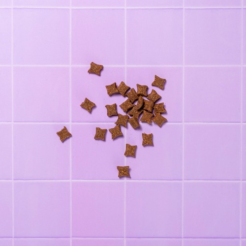 Pooch & Mutt Shrimp and Coconut Coat Care Meaty Dog Treats thumbnail 3