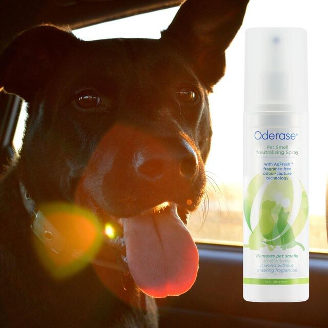 Oderase Pet Smell Neutralising Spray thumbnail 2