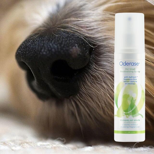 Oderase Pet Smell Neutralising Spray thumbnail 5