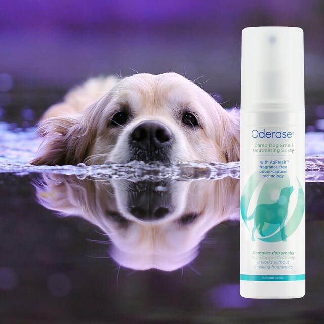 Oderase Damp Dog Smell Neutralising Spray thumbnail 2