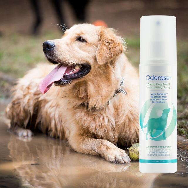 Oderase Damp Dog Smell Neutralising Spray thumbnail 3