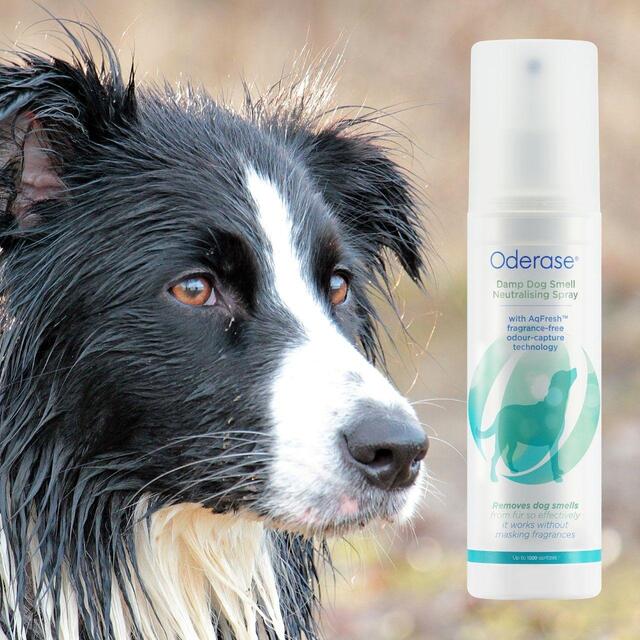 Oderase Damp Dog Smell Neutralising Spray thumbnail 4