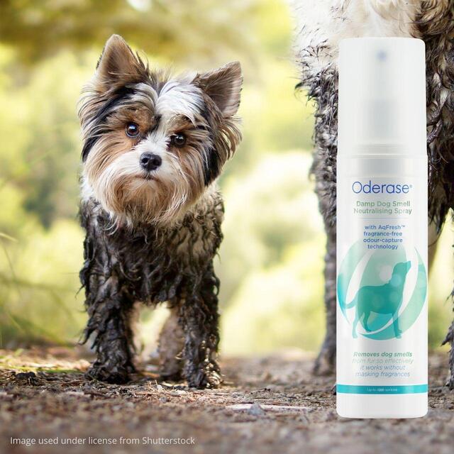 Oderase Damp Dog Smell Neutralising Spray thumbnail 5