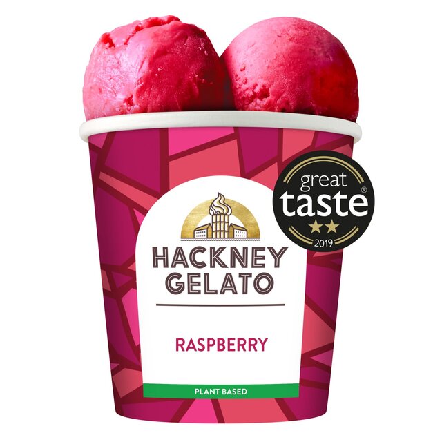 Hackney Gelato Raspberry Sorbetto