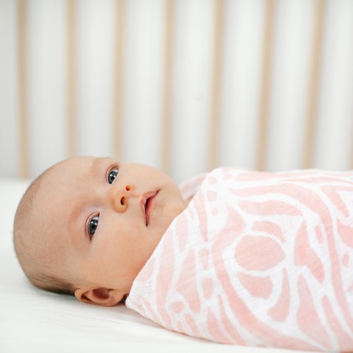Aden + Anais Muslin Swaddle Blankets, Tropicalia thumbnail 6