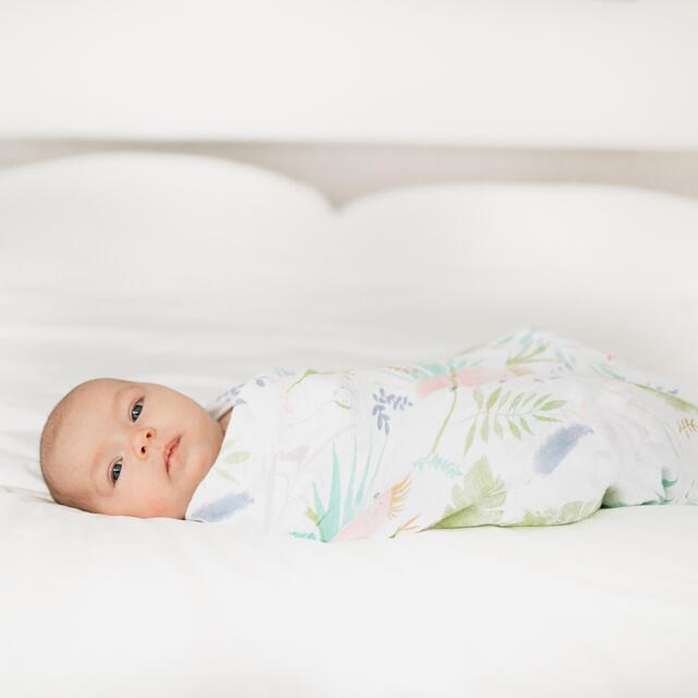 Aden + Anais Muslin Swaddle Blankets, Tropicalia thumbnail 7