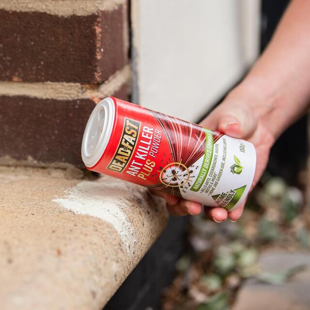 Deadfast Ant Killer Plus Powder,150g thumbnail 3
