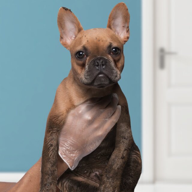 Spontex 100 Handy Latex Free Disposable Gloves thumbnail 3