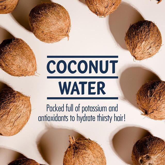 Vita Coco Nourishing Shampoo thumbnail 4