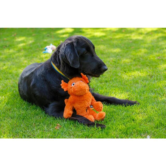 Petface Mighty Dragon Dog Toy thumbnail 3