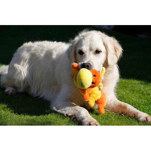 Petface Buddies Caterpillar Dog Toy thumbnail 3