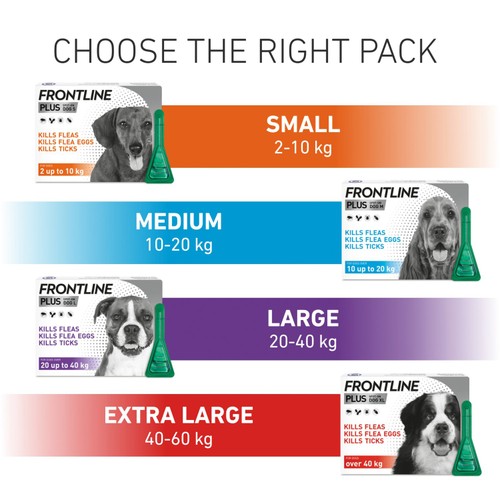 FRONTLINE Plus Flea & Tick Treatment Medium Dog 10-20kg thumbnail 4