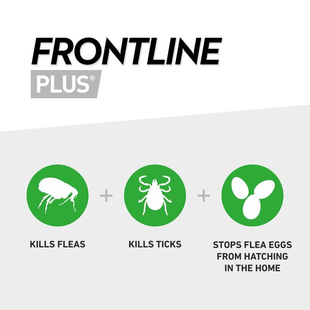 FRONTLINE Plus Flea & Tick Treatment Medium Dog 10-20kg thumbnail 8