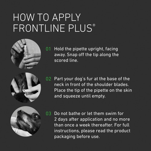 FRONTLINE Plus Flea & Tick Treatment Small Dog 2-10kg thumbnail 8