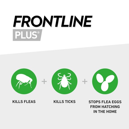 FRONTLINE Plus Flea & Tick Treatment Cat thumbnail 3