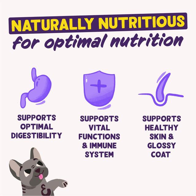 Edgard & Cooper Natural Adult Grain Free Wet Dog Food Tin Multipack thumbnail 2