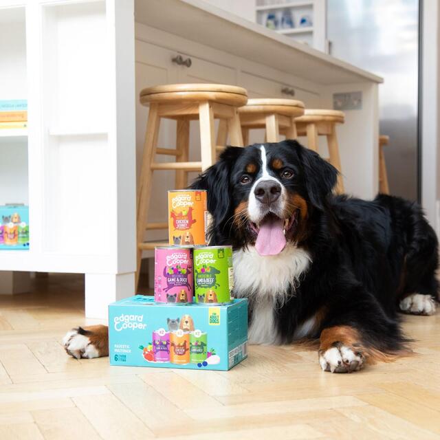 Edgard & Cooper Natural Adult Grain Free Wet Dog Food Tin Multipack thumbnail 4