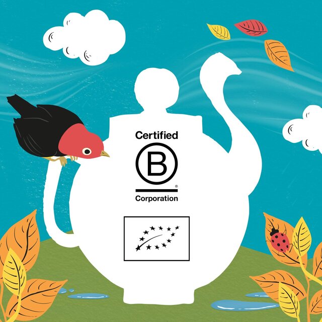 Clipper Groovy Ginger, Hemp, Lemongrass & Ginger Organic Infusion thumbnail 10