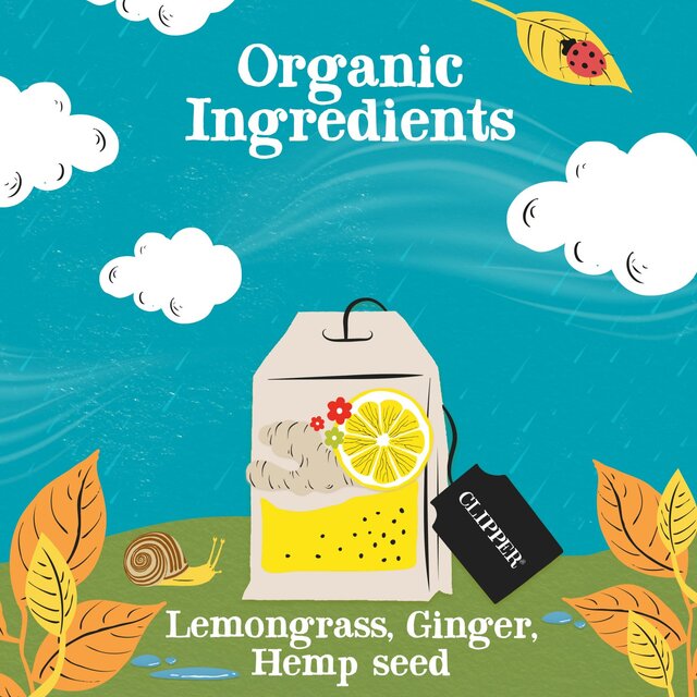 Clipper Groovy Ginger, Hemp, Lemongrass & Ginger Organic Infusion thumbnail 4