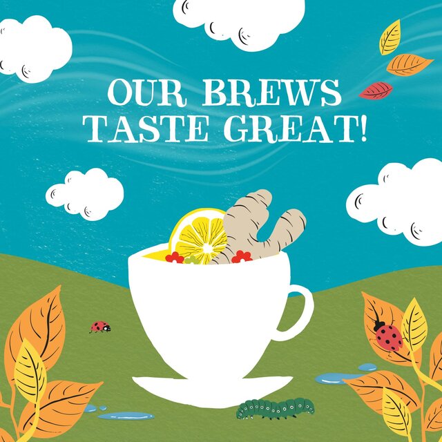 Clipper Groovy Ginger, Hemp, Lemongrass & Ginger Organic Infusion thumbnail 6