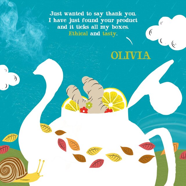 Clipper Groovy Ginger, Hemp, Lemongrass & Ginger Organic Infusion thumbnail 7