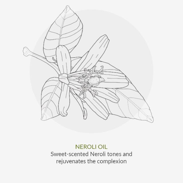 Green People Age Defy+ Collagen Boost Vitamin C Serum thumbnail 9